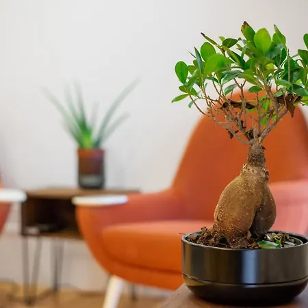Low Cost Parking - Private Garden - Almada 392 Apartment Porto